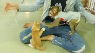 Awesome Mori Jealous Mom Love Kitty Cat And Not Allow Cat Closely With Mom