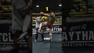 3 ways setup to switch knee. #muaythai  #muaythaitechnique #muaythaibasics #muaythaionline