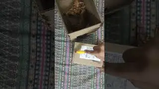 Unboxing Amazon parcel 📦 #unboxing #amazon #prime #subscription #membership