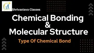 Understanding Different Types of Chemical Bonds | Class 11 Chemistry