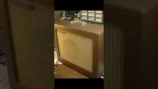 THE LITTLE BEAST - 1961 Rickenbacker M8E Guitar Amp