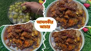 টক ,যাল,মিষ্টি স্বাদের আমলকীর আচার 👌