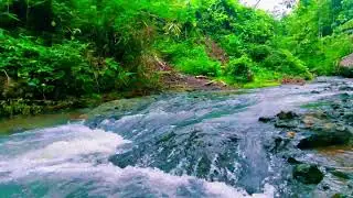 Calming Water Sounds for Sleep, River Sounds for Relaxation, Water Sounds for Stress Relief