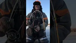 I Hooked Something BIG