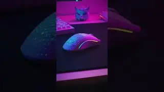Upgrade to ultralight with Glorious gaming mice