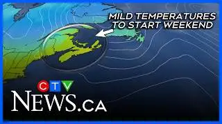 Temperatures turn mild heading into the weekend