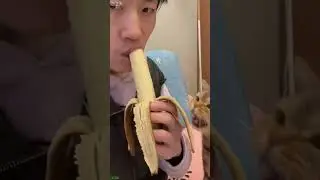 Funny Cats 2024 🐕 Will Cheer you Up 🐈‍⬛ # Part 2834