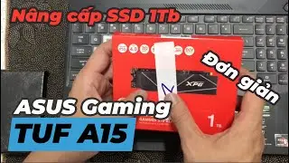 N&acirc;ng Cấp SSD Cho Laptop ASUS TUF Gaming A15  Tăng Tốc Load Game & Hệ Điều H&agrave;nh | Đạt m&ugrave; tạt