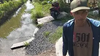 BUKIT BERBUNGA - CINTA MERAH JAMBU - LEMBAYUNG MUSIC FULL ALBUM TERBARU 2025!!!