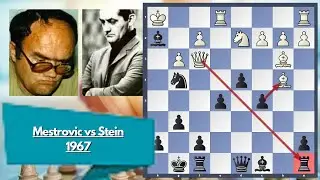 Tactically Outplayed || Zvonimir Mestrovic vs Leonid Stein || 1967