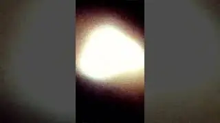 Мёртвый Тополь &mdash; 