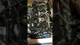 Cummins R2.8 - opening out crate of goodness