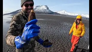 Alaska Razor Clam Digging