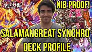 БАРОННА?! 1-е место, Саламангрейт Синхро, профиль колоды YuGiOh, Soul Burner, бюджет 1-го уровня + руководство по комбо