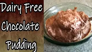 Dairy Free Chocolate Pudding (Raw, Organic, Vegan, Sugar Free)