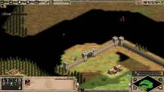 Italy fast imp Arena vs Malians Age of Empires II  Definitive Edition