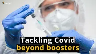 Common colds versus Covid-19: how T cells can cross-protect  ︳The Federal