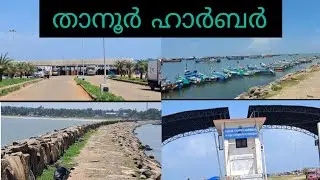 താനൂർ ഹാർബർ | Tanur Harbour | tanur beach | tanur tourism spot
