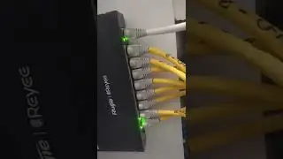 Ruijie Networks Switch  / installed access point