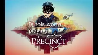 The precinct review