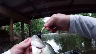 Mud Hole Post Spawn Crappie Fishing May 2022