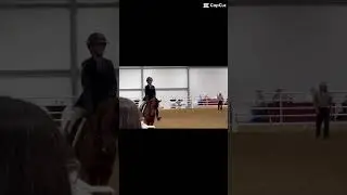 ignore the head 😭 #horse #youtubeshorts #shorts #funny
