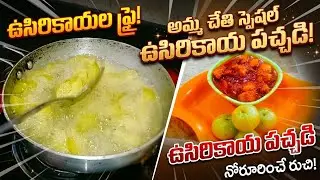 టేస్టీ టేస్టీ రుచికరమైన ఉసిరికాయ పచ్చడి తయారీ విధానం తెలంగాణ స్టైల్ లో నోరూరించే పచ్చడి