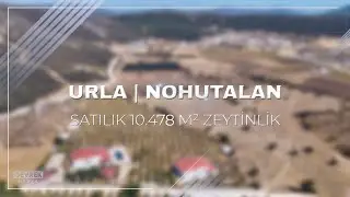 İzmir Urla Nohutalan 10 d&ouml;n&uuml;m Satılık Zeytinlik #drone #gevrekmedya #emlak