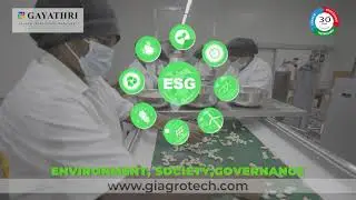 Center of Excellence for Cashew Processing Technology | Gayathri Cashew Processing&nbsp;Machinery