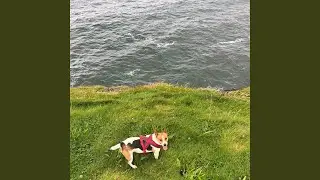 Look Out The Window / Out To Sea (feat. Aukos)
