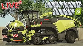 LS25 LIVE🔴: XXL MAISH&Auml;CKSELN mit CLAAS JAGUAR UNSTOPPABLE 🌽 │ Farming Simulator 25 │ FS25