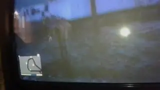 GTA 5 KILENN WIR ALLE
