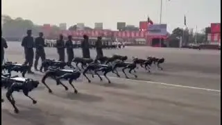 During the 77th Army Day Parade in Pune, India showcased its new robotic dogs, known as MULEs