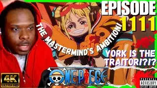 THE TRAITOR REVEALED! - ONE PIECE EPISODE 1111 Reaction