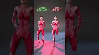 #animatedworkout #bodyweighttraining #coremotion