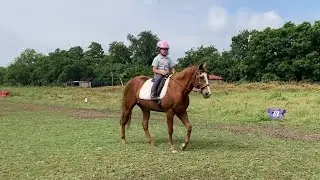 Texas Equine Online Horse Show Summer 2025: Layla and Dandy. Level 1 Youth English Equitation.