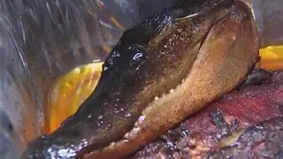Houston-area business putting new twist on Thanksgiving