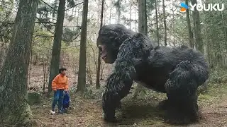 🦍👦🚧Black Gorilla Blocks Boy's Path! | KingKong is Coming Back | YOUKU MONSTER MOVIE