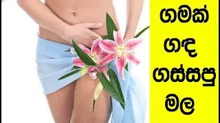 kidaran flower,Elephant foot yam,stinky flower,Amorphophallus paeoniifolius