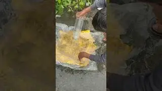 Fishing videos ll bottle fish Trap 🪤#fishing #fish #fishingtips ,#best_fishing