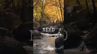 Seeking a Listener in the Quiet | Poetry