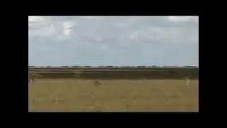 Save the Everglades
