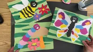 TORN PAPER INSECTS