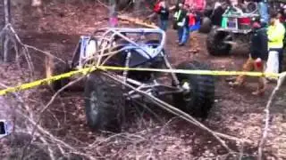 Gorilla Run12