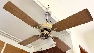 Homemade Ceiling Fan Blades!