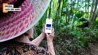 Trust Carbon: How a 70-Year-Old Farmer Verifies Carbon Credits with Just Her Phone in Brazil