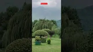 My pride Kashmir #kashmir #kashmirazz #travel  #nature #viralshorts #shorts #short