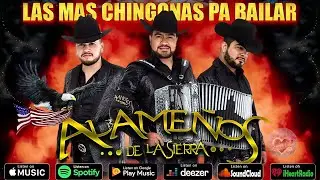 💥 Los Alame&ntilde;os De La Sierra &Eacute;xitos Mix &ndash; Mix Sierre&ntilde;o Para Fiestas 2025 ~ Ritmo 100% Para Bailar!