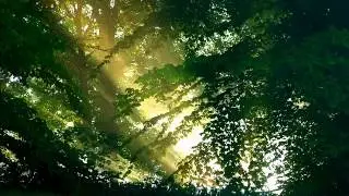 Marky Spark - A Higher Love (Free Download)