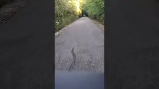 Sweetser switch trail to Jonesboro on Cardnal Greenway 8/2023 evening 10.5 miles Varla Eagle One